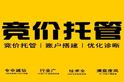 百度竞价账户管理攻略：实战案例与技巧分享